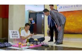 融水如何避免债务纠纷？专业追讨公司教您应对之策